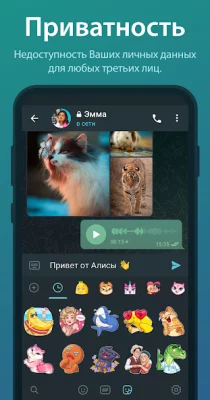 Telegram screenshot №5