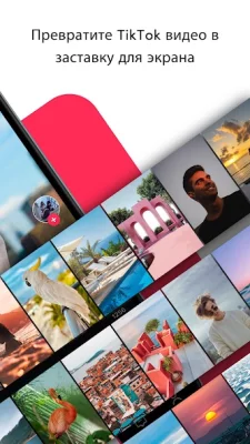 TickTock-TikTok Live Wallpaper screenshot №3