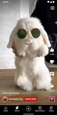 YouTube screenshot №3