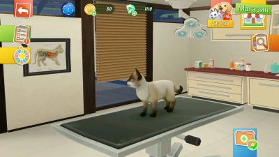 Мир питомцев - Уход за животны взлом screen 4