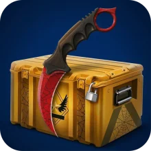 Case Royale 2.3