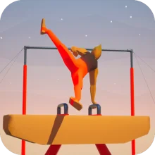 Gym High Bar
