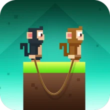 Monkey Ropes