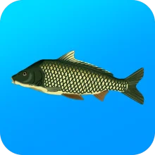 Реальная Рыбалка [ВЗЛОМ: Премиум] v 1.19.3.942