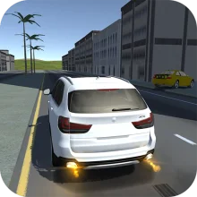 X5 M40 and A5 Simulator v 3.5